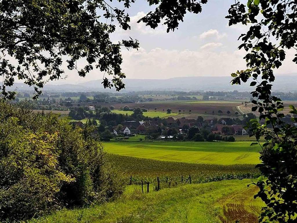 Hotel Weinschanke Rohdental Hessisch Oldendorf Luaran gambar